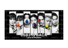 2025年最新】三代目j soul brothers バスタオルの人気アイテム