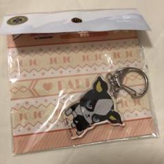 ジョジョの奇妙な冒険 イギー アクリルキーホルダー