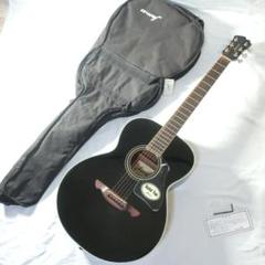 弦交換 美品 James JF400/BLK アコースティックギター ケース付ト 弦交換 美品 James JF400/BLK アコースティックギター ケース付