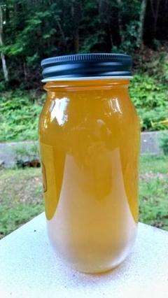 はちみつ 3kg 国産 天然 純粋 蜂蜜 3000g 【養蜂家直送】 はちみつ 2kg 国産 天然 純粋 生蜂蜜 2000g 【養蜂家直送】6月新