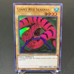 初期 トーナメントパック スーパーレア シーザリオン 遊戯王 大会 限定 英語 初期 トーナメントパック スーパーレア シーザリオン 遊戯王