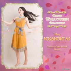 ポカホンタス 仮装 コスプレ Dハロ シークレットハニー ポカホンタス 仮装 コスプレ Dハロ シークレットハニー - メルカリ