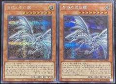 遊戯王 青眼の亜白龍　2枚　シク 青眼の亜白龍 シク」の激安通販 | magi