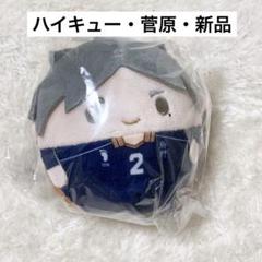 ハイキュー 菅原孝支 ふわコロりん ハイキュー！！ ふわコロりんBIG6 B 菅原 孝支｜ホビーの総合