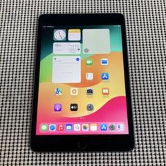 53【早い者勝ち】電池良好☆iPad mini5 64GB WIFIモデル☆