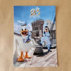 2025年最新】スペシャルフォト ディズニー20周年の人気アイテム