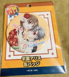 学園アリス 缶バッジ 全10種セット ② 豊富なギフト 漫画商店】トレーディング缶バッジ（樋口橘/学園