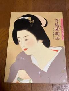 寺島紫明展 匂いたつ情感を描く 図録
