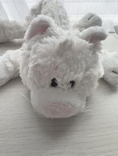 NICIニキシロネコ しろねこ 白猫 ペンケース　筆箱 Amazon.co.jp: NICIニキ 白猫シロネコ ペンケース : おもちゃ