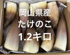 専用　岡山の朝堀り④たけのこ　14キロ　ぬか付き　無農薬無肥料　本日発送 imgrc0064891130.jpg