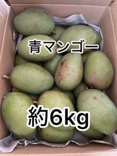 宮崎県産摘果マンゴー グリーンマンゴー 約20kg(2) 楽天市場】宮崎マンゴー (L×2玉/約600g) 宮崎産 赤秀～青秀 宮崎