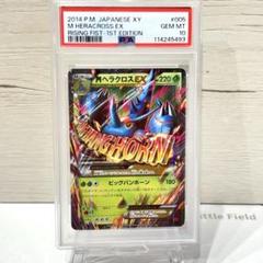 PSA10*MヘラクロスEX ライジングフィスト 世界73枚 希少