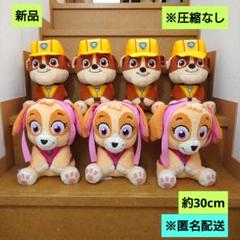 新品 パウパトロール ちょこんとおすわり Lぬいぐるみ スカイ