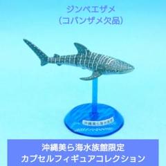 訳あり【沖縄美ら海水族館限定】カプセルフィギュアコレクション ジンベエザメのサムネイル