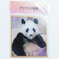 NEW☆4頭のグッズ販売開始！🐼】 中国へと帰国する4頭を応援する