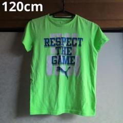 プーマ RESPECT THE GAME Tシャツ 120cm