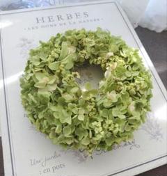 アナベル紫陽花 ＆ カシワバ紫陽花 ドライフラワー ナチュラルリース✨️
