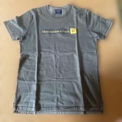 Abercrombie & Fitch Tシャツ Mサイズ グレー