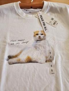 ユニクロ × PEACE FOR ALL 養老孟司 Tシャツ