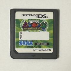 甲虫王者ムシキング グレイテストチャンピオンへの道 DS