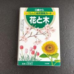 2025年最新】花と木 (くもんの幼児図鑑カード)の人気アイテム