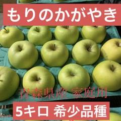 2025年最新】もりのかがやきの人気アイテム - メルカリ