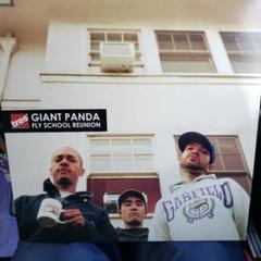 【廃盤LP】Fly School Reunion アングラ GIANT PANDA FLY SCHOOL REUNION レコード 2LP - メルカリ