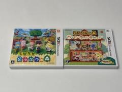 とびだせ どうぶつの森 & ハッピーホームデザイナー セット