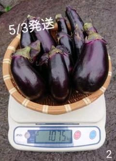 ☆*。訳あり茄子☆*。