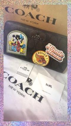 2025年最新】coach ディズニー アウトレットの人気アイテム