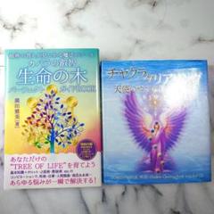 絶版 C++のからくりスティーブン・R. デイビス (著)CD有ソフトバンク