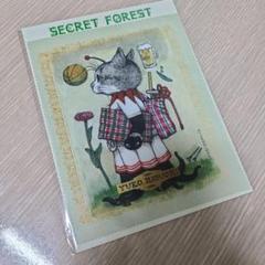 セット 韓国 ヒグチユウコ 韓国限定 マルチクリーナー secretforest 2025年最新】#SeacretForestの人気アイテム - メルカリ