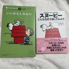 ピーナッツ　エッセンス　いいかもしれない　PEANUTS セット
