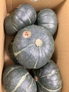 茨城県産 有名ブランド 江戸崎カボチャ 6玉セット - メルカリ