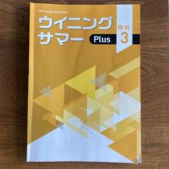 2025年最新】ウイニング サマーの人気アイテム - メルカリ