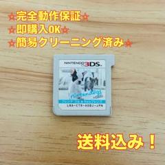 ニンテンドックス 3DS nintendogs ＋ cats フレンチ・ブル