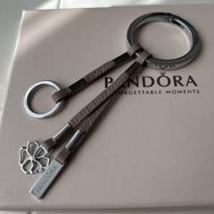 PANDORA　パンドラ　チャーム　クリップ　9点　used wl-pandora05-01.jpg