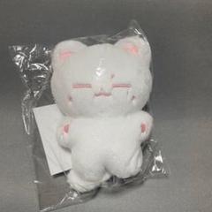 ウォヌ ジュン ぬいぐるみ 10cm 新品 マスター セブチ svt