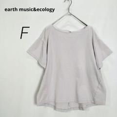 c4027【earth】半袖 カットソー F ベージュ グレー オーバーサイズ