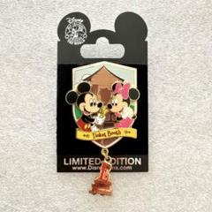 DLR 年パス限定 ピンバッジ 2006 ミッキー ミニー e-Ticket DLR 年パス限定 ピンバッジ 2006 ミッキー ミニー e-Ticket
