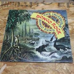 未使用品 難あり アナログレコード LP盤　BONGO ROCK 50周年記念盤 2025年最新】Bongo_Rockの人気アイテム - メルカリ