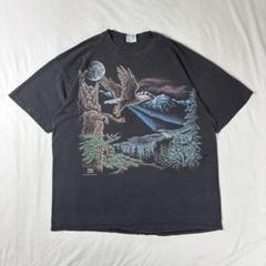 usa製90s ヘインズ 半袖アートtシャツ 黒 自然 グラフィック XLのサムネイル