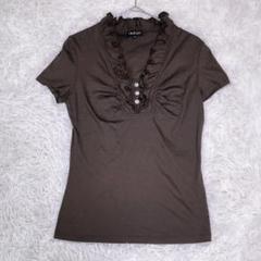 INDIVI【38】半袖カットソー　Tシャツ　ブラウン　レディース　オシャレ