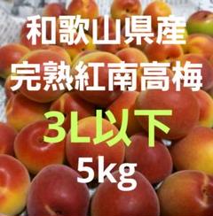 和歌山県産完熟紅南高梅 3L以下 5kg - メルカリ