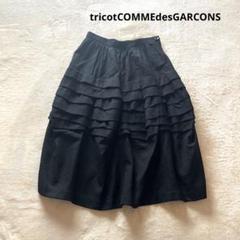 トリココムデギャルソン ☆フリルフレアスカート⑥ トリココムデギャルソンtricot COMME des GARCONS ブレード装飾