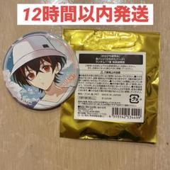 カラフルピーチ からぴち夏休み ひらかたパーク ゆあんくん ゆあん 缶バッジ