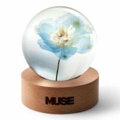 BTS JIMIN MUSE ペーパーウェイト Paper Weight - メルカリ