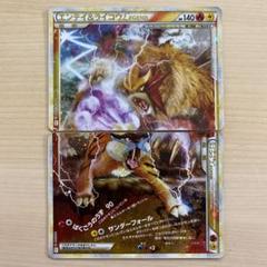エンテイ&ライコウlegend