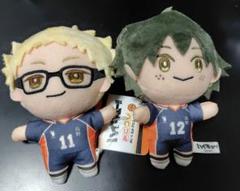 ハイキュー‼︎ 月島蛍　山口忠　ぬいぐるみセット くるみたぴぬい ハイキュー 月島蛍 山口忠 - メルカリ