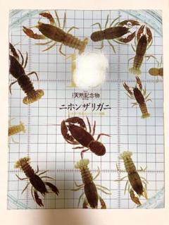 週刊　天然記念物　動物編　8冊セット